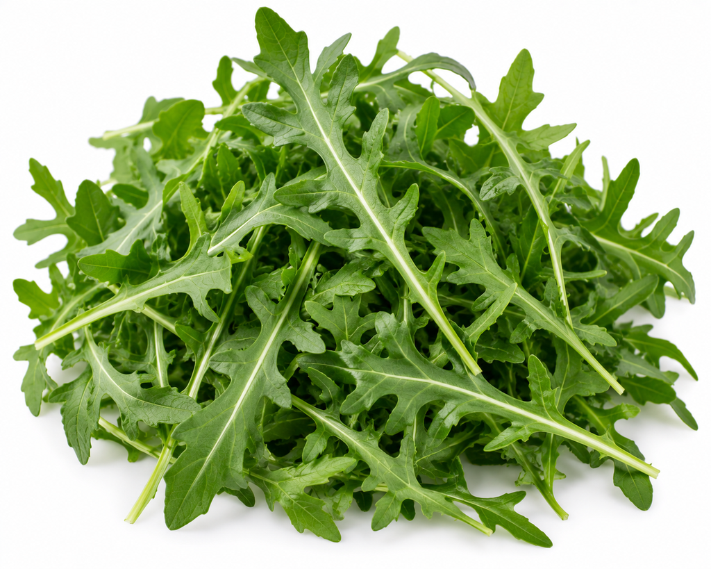 Rucola