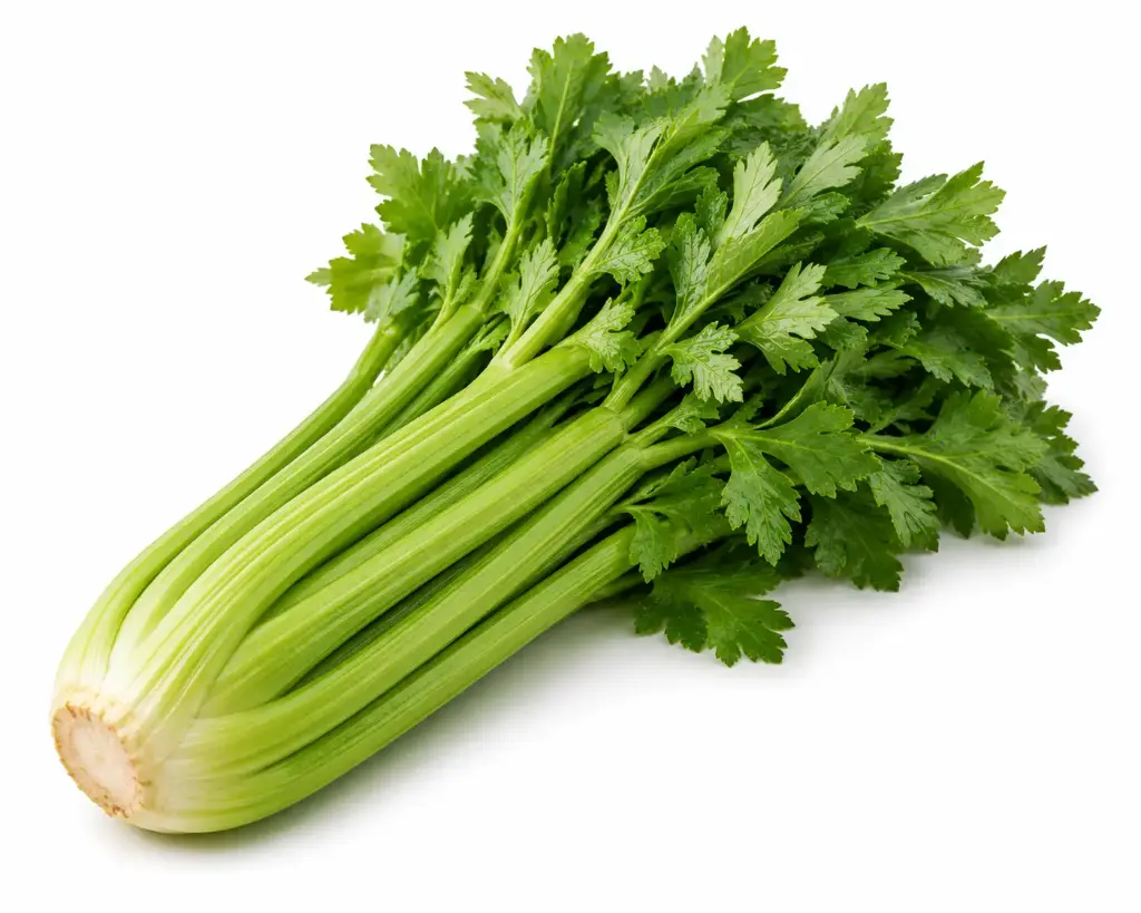 Selderij