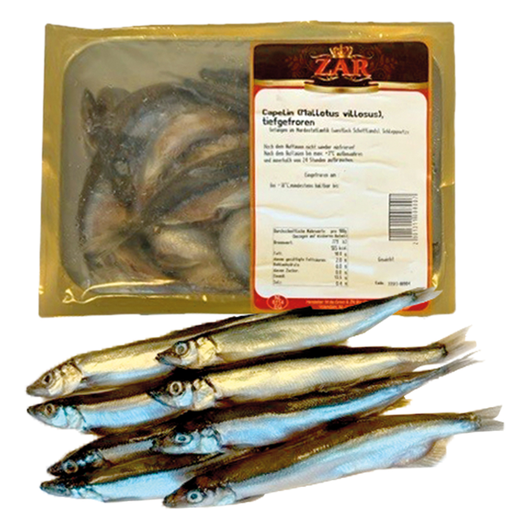 Capelijn (Mallotus villosus), diepgevroren