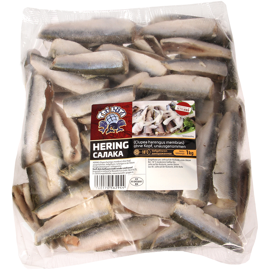 Strömling - Haring (Clupea harengus membras) zonder kop