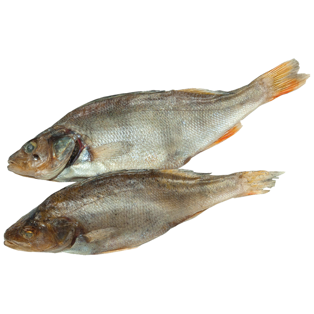 Baars (Perca fluviatilis), gedroogd en gezouten, diepgevroren / los