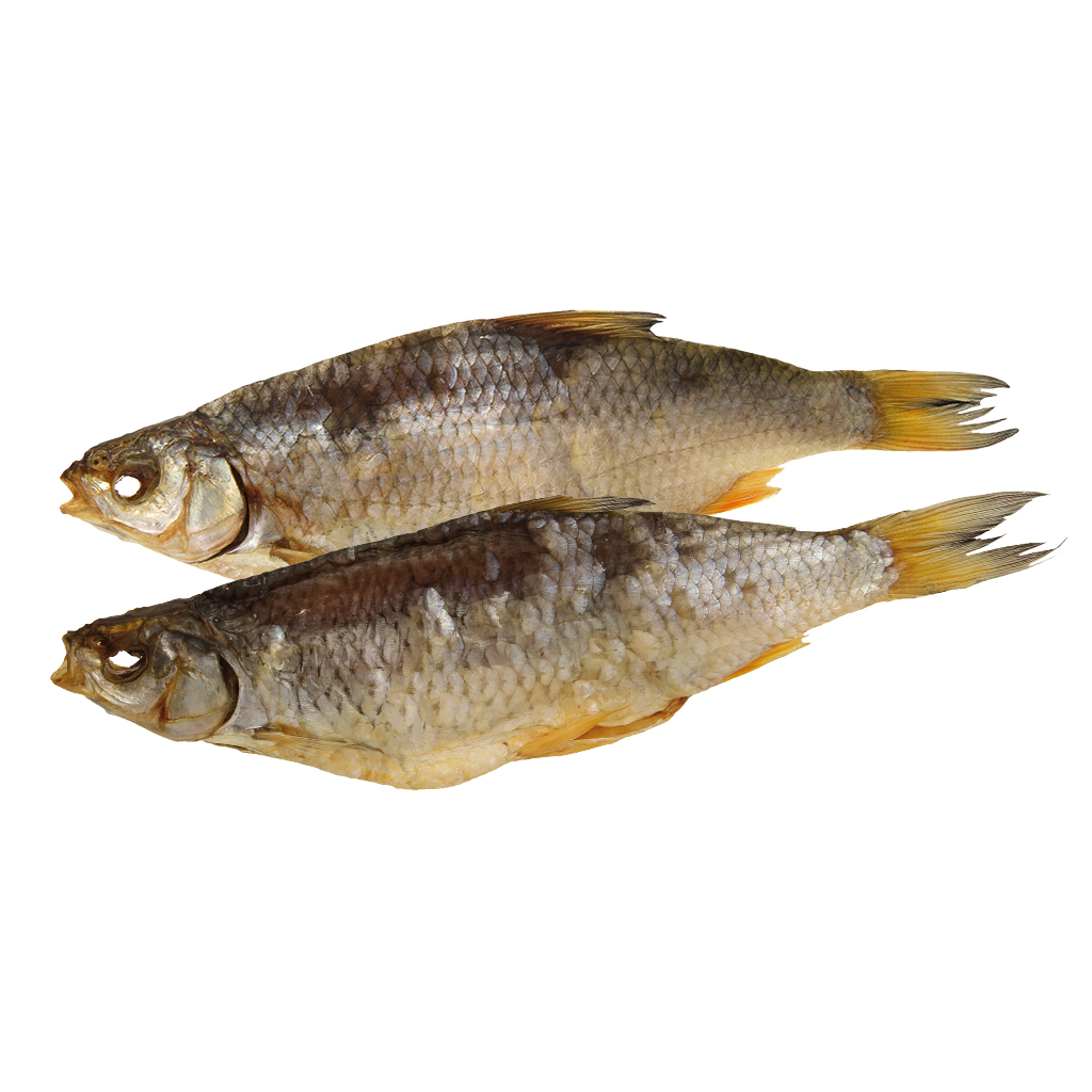 Plötze (Rutilus rutilus), gedroogd en gezouten, diepgevroren / los