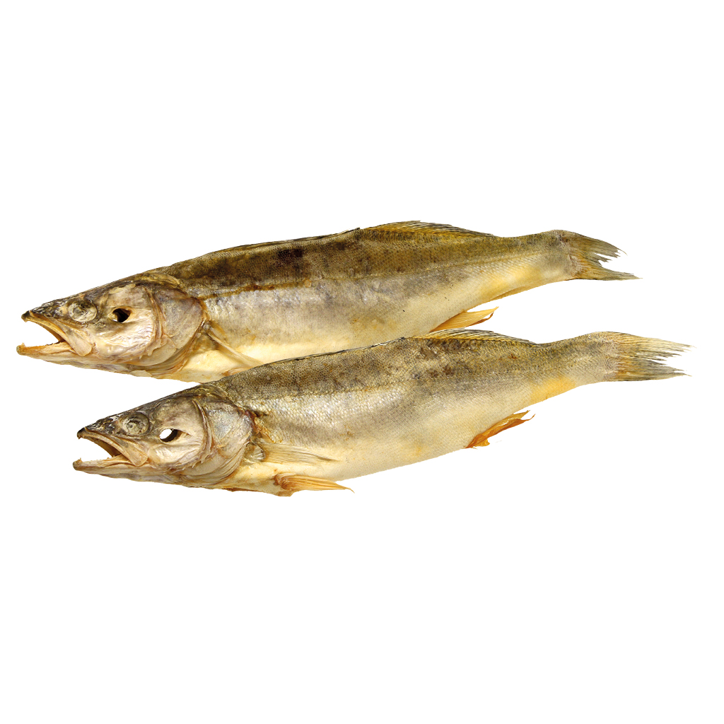 Zander, schoongemaakt, gedroogd en gezouten, diepgevroren