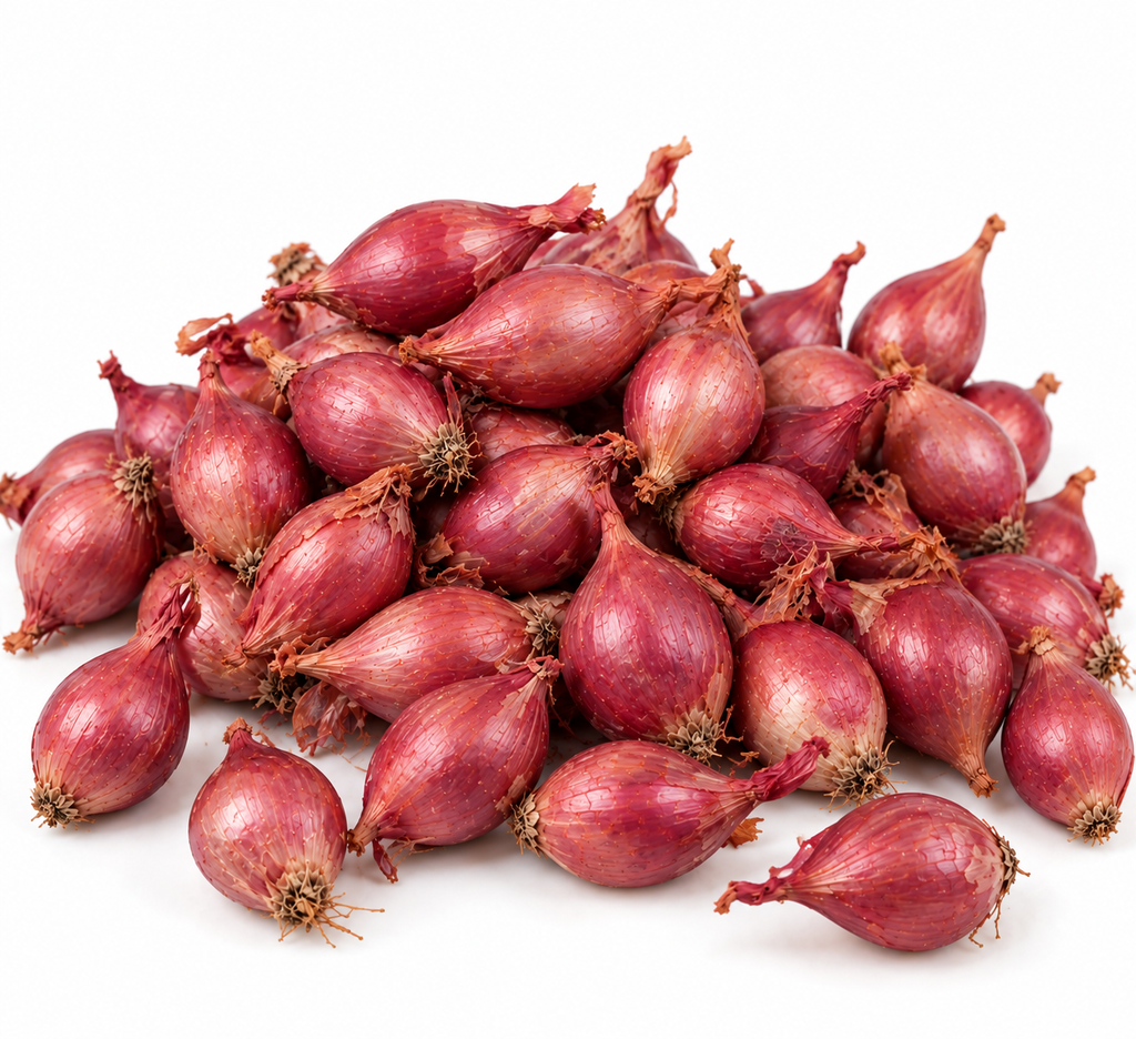 Plantui rood