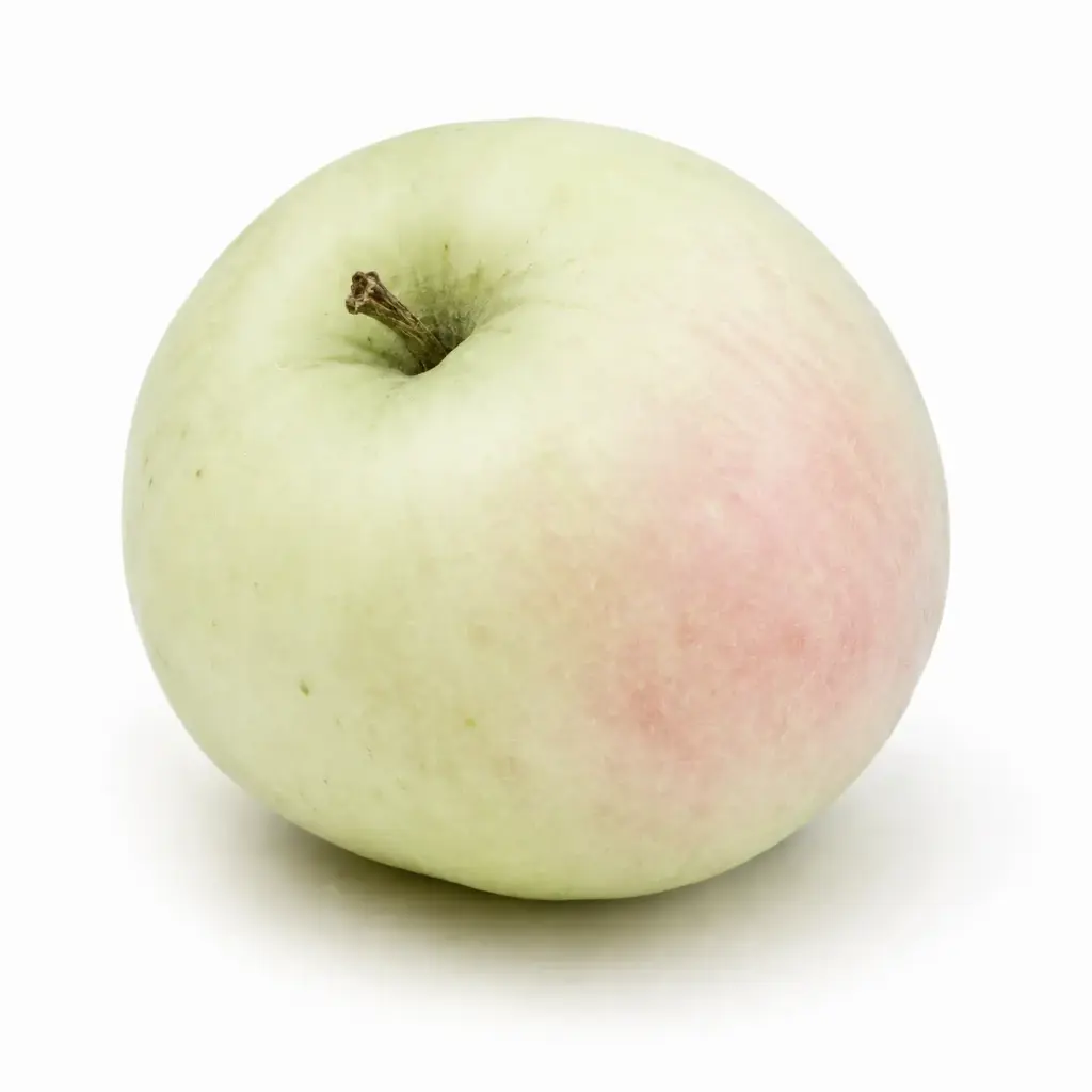 Appels Antonowka