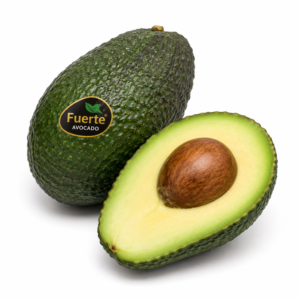 Avocado Fuerte