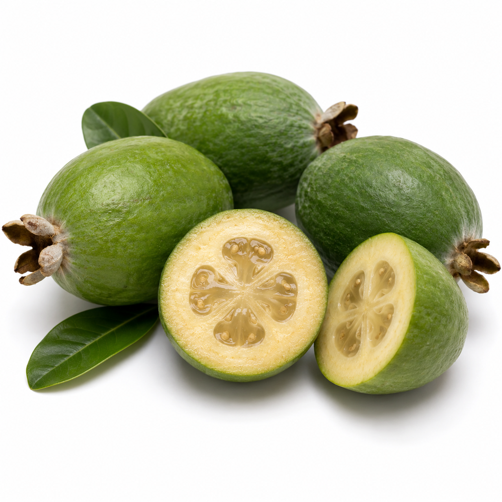 Feijoa