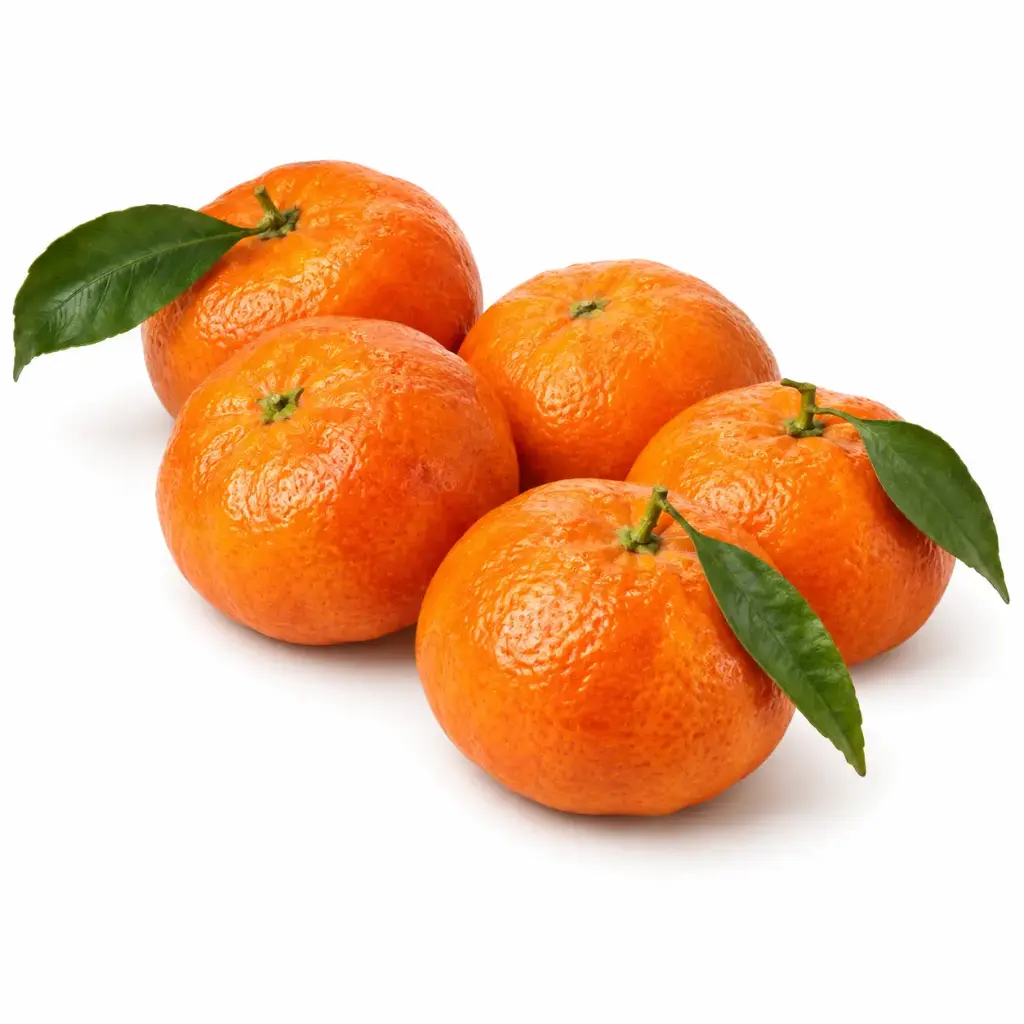 Mandarijnen met blad