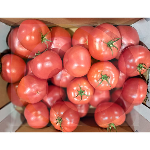 Frambozen-tomaat BB 6kg Polen