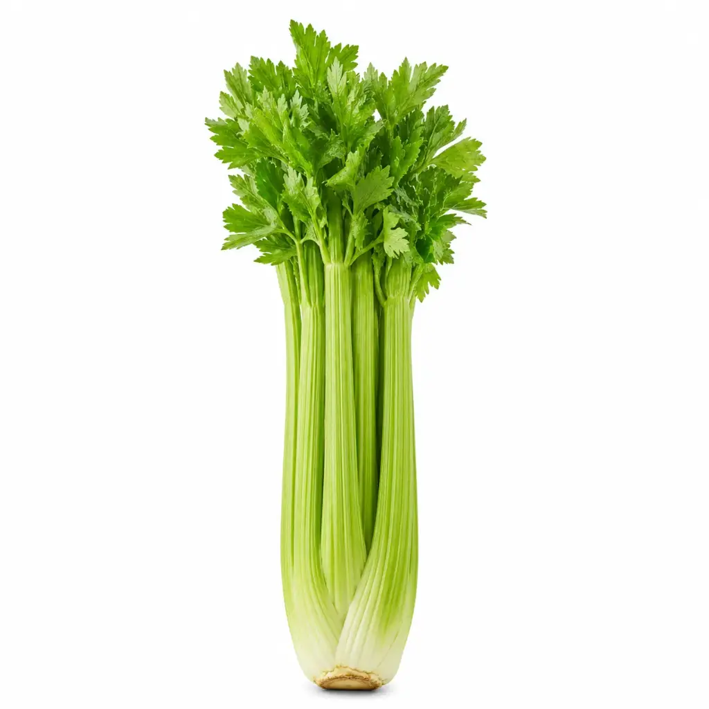 Bleekselderij