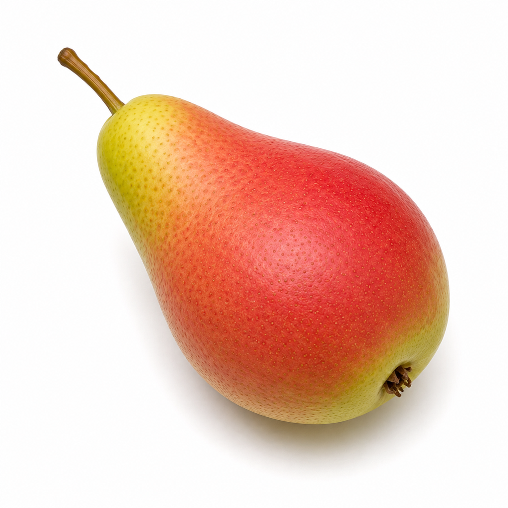 Peren Celina