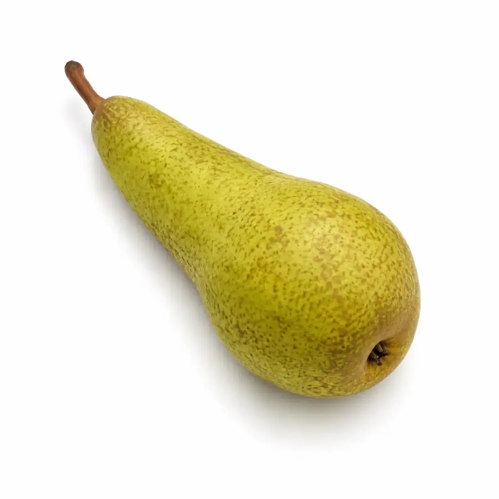 Peren Conference