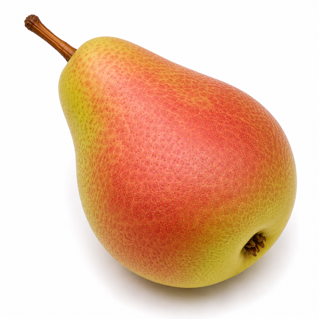 Peren Rosemarie