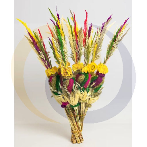 Paas Palm PAL 28 hoogte 60 cm