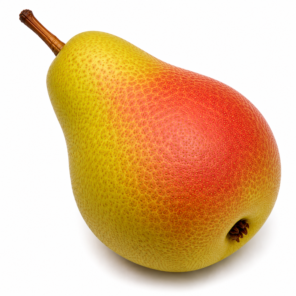 Peren Santa Maria st.