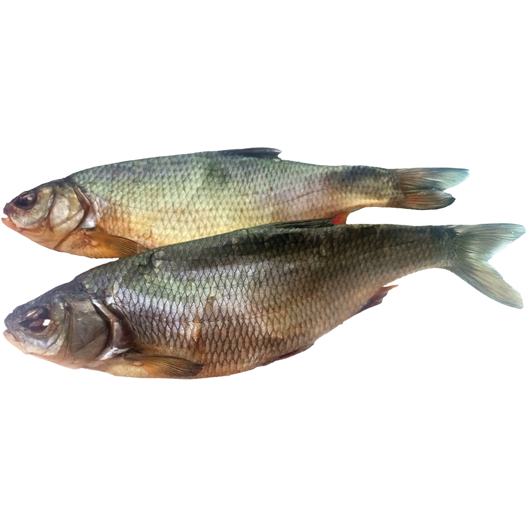 Aland gezouten en gedroogd, ongekuist /los