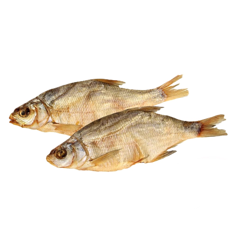 Blikjes, gezouten en gedroogd, ontdaan van ingewanden, ontdooid/ los.