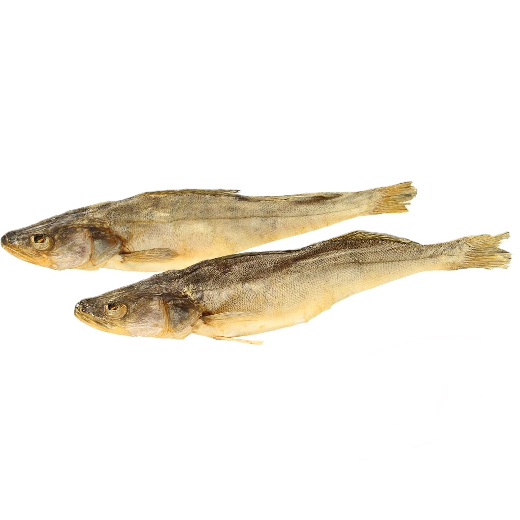 Zander, gezouten en gedroogd, ongekuist, ontdooid/ los.