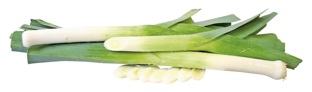 Лук порей