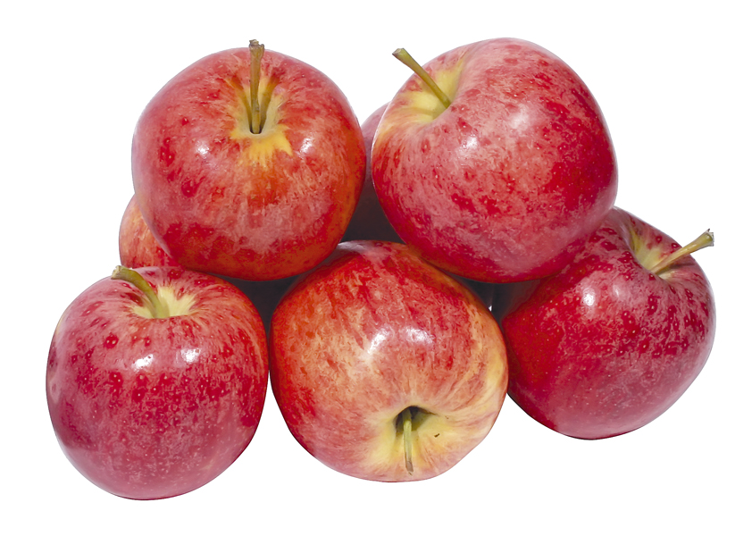 Appels "Celeste"