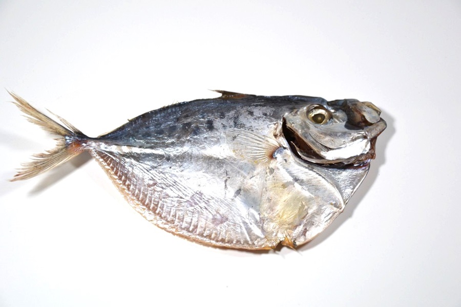 Восточноазиатский лунный окунь (Mene maculata) целиком, с головой, не потрошеный, слабосоленый, сушеный