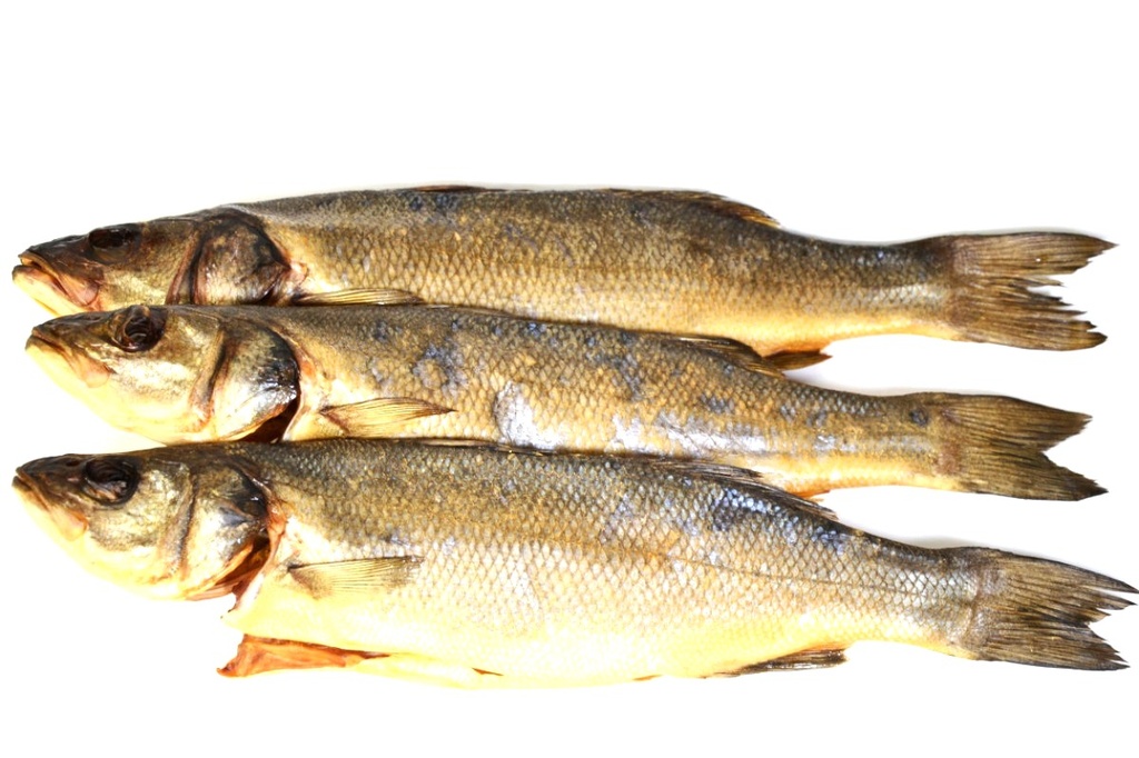 Wolfvis (Dicentrarchus labrax) gedroogd en gezouten