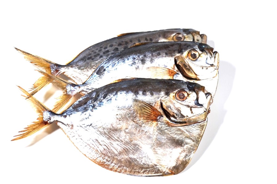 Восточноазиатский лунный окунь (Mene maculata) целиком, с головой, не потрошеная, холодного копчения