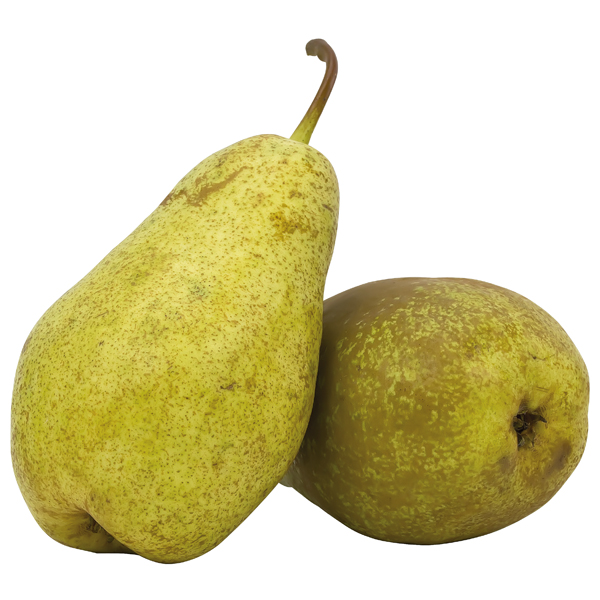 Peren