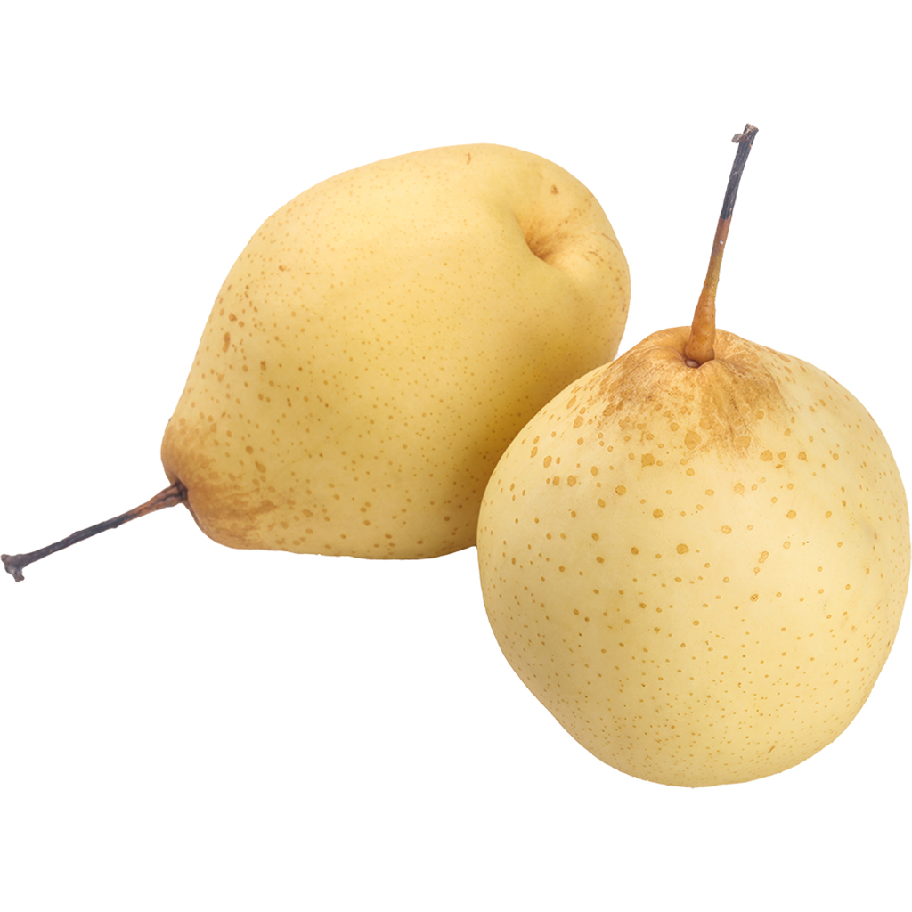 Peren "Nashi"