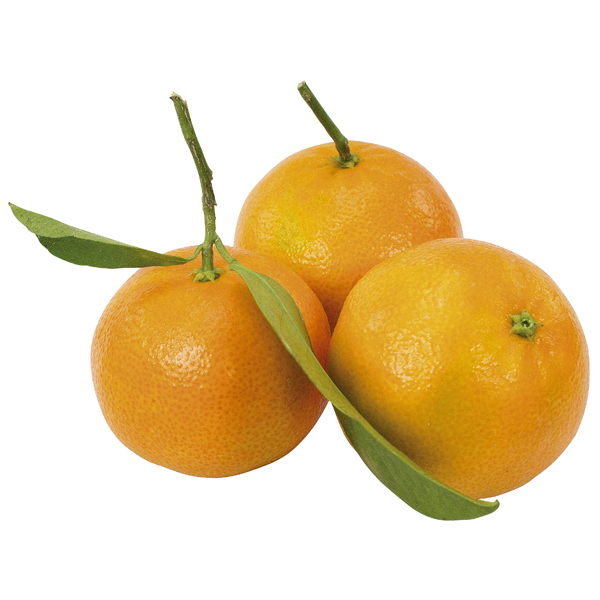 Clementines met bladeren
