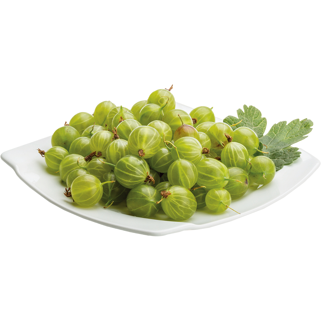 Bessen - Kruisbes Schaal