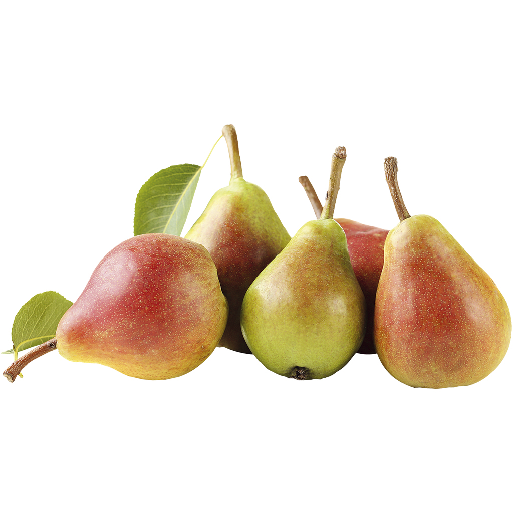 Груши "Clapps"