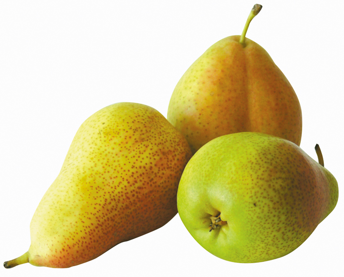 Peren "Favoriet"