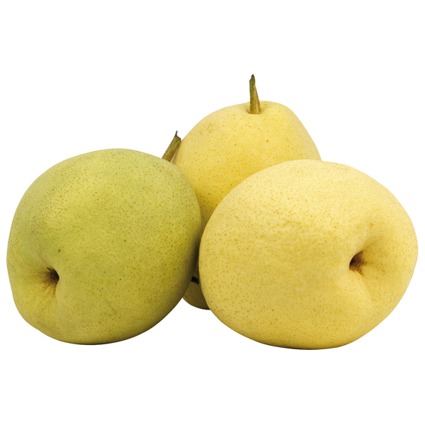 Peren