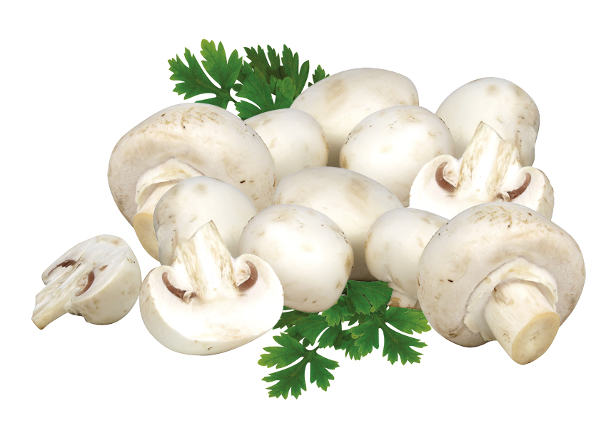 Vullchampignons wit