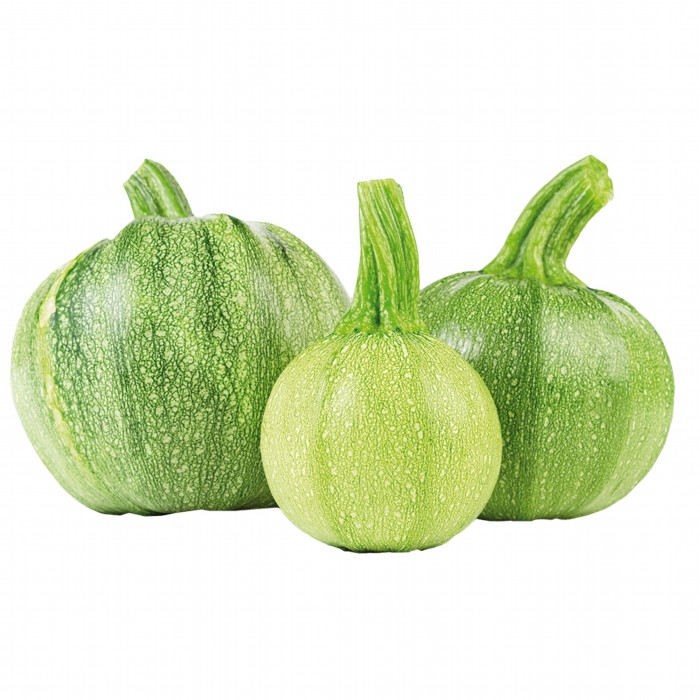 Ronde courgette