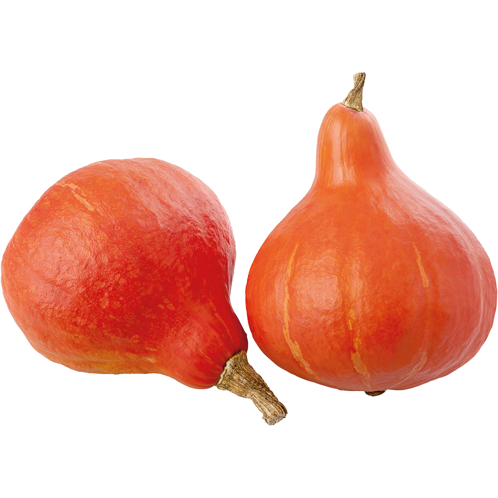 Hokkaido-pompoen