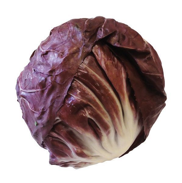 Salade - Radicchio