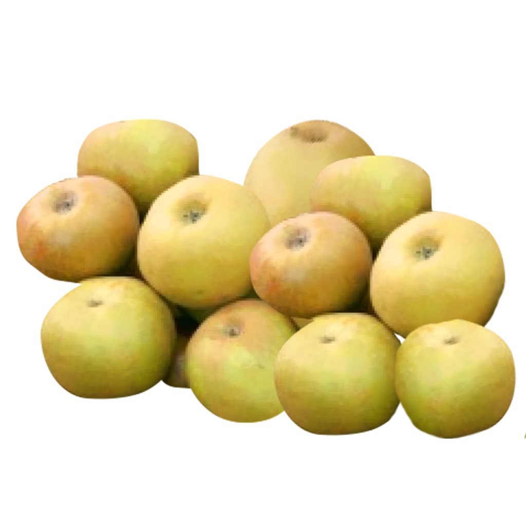 Appels - Reinette