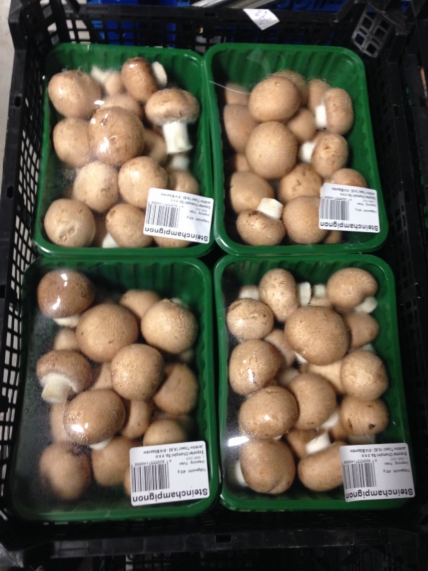 Bruine champignon