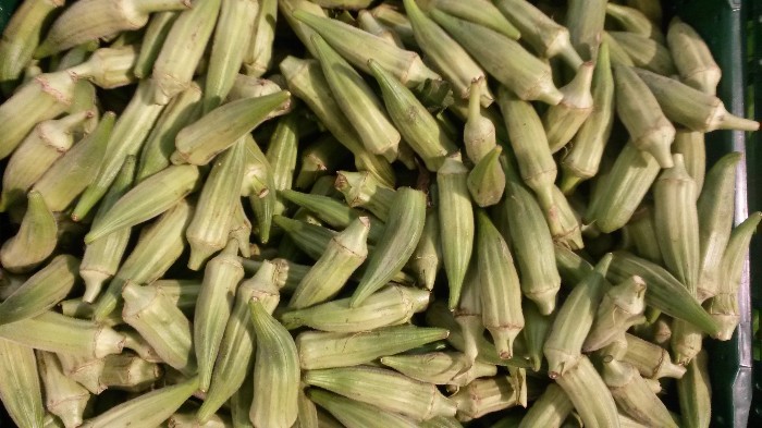 Okra / Groentehibiscus