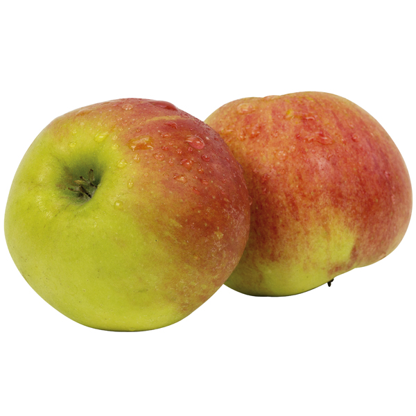 Appels "Elstar"
