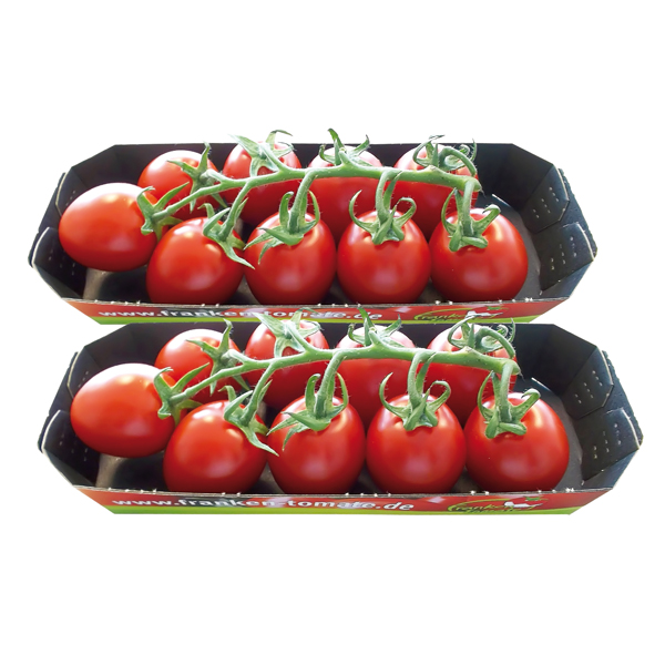 Tomaten - Cocktailtomaten