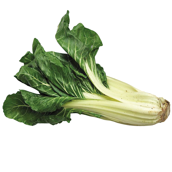 Salade - Snijbiet