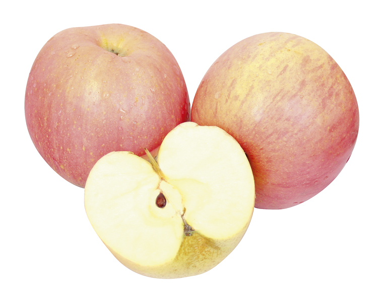 Appels "Jonagored"