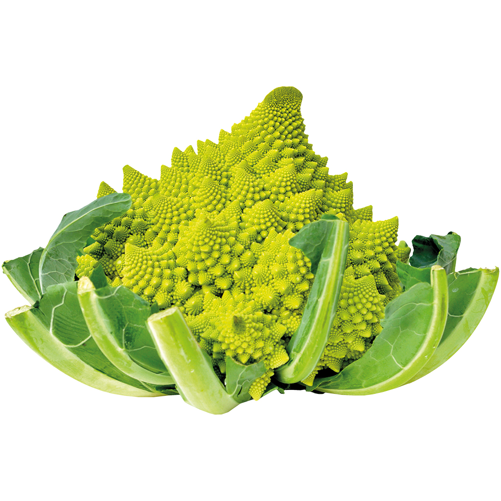 Romanesco