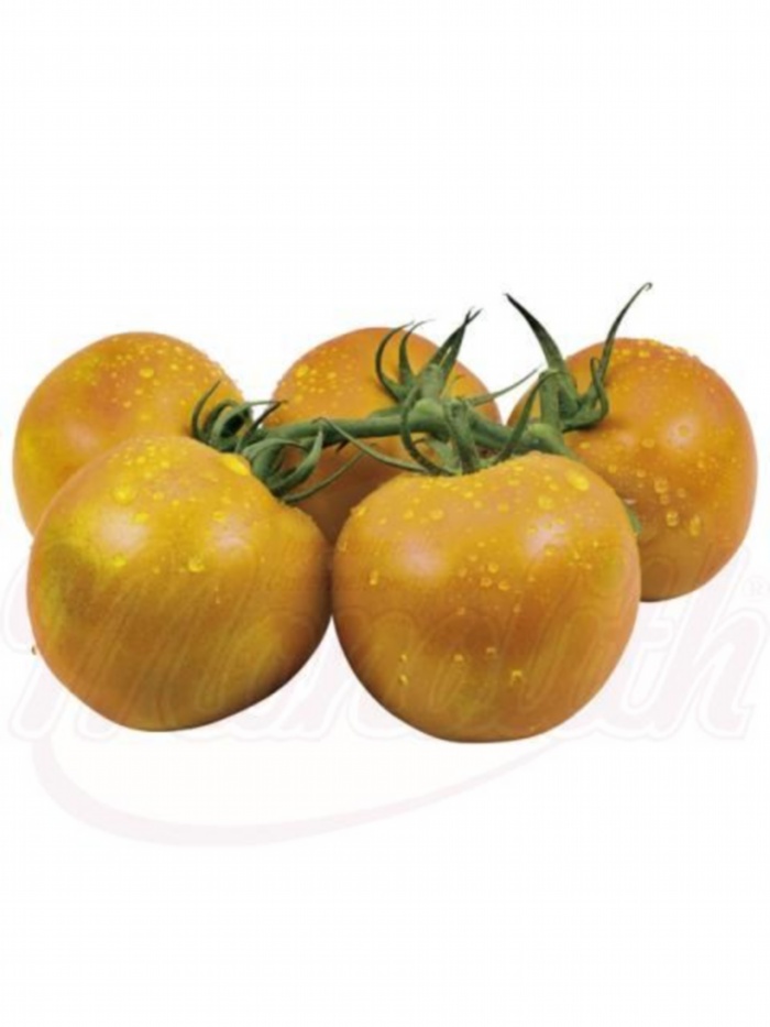Oranje cherrytomaten