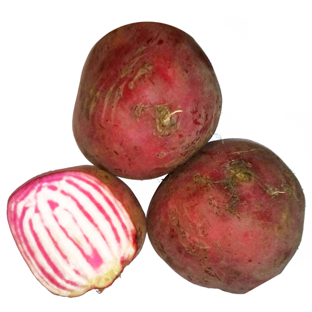 Chioggia-biet