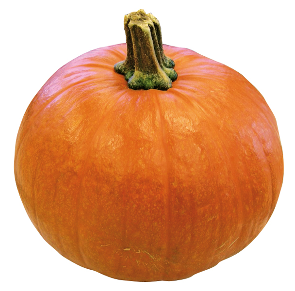 Pompoen
