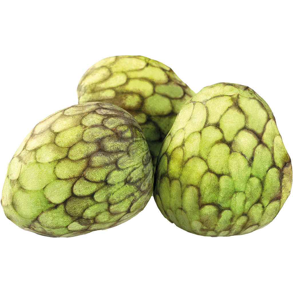 Cherimoya